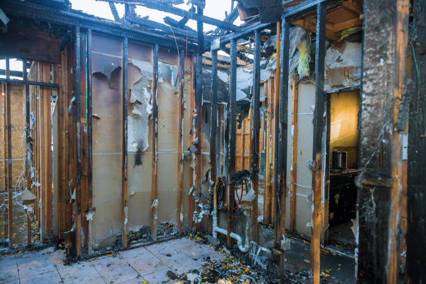 Professional Smoke Damage Removal technician working in Northlake, IL